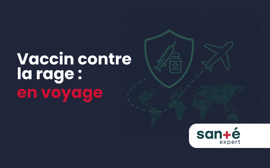 Vaccin contre la rage en voyage : est-il recommandé pour votre destination?